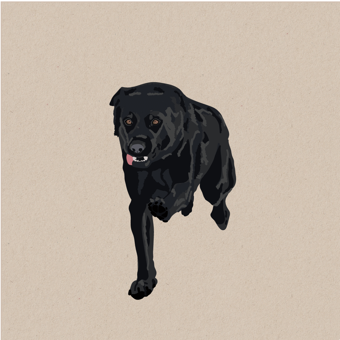 Works duska annimation finished