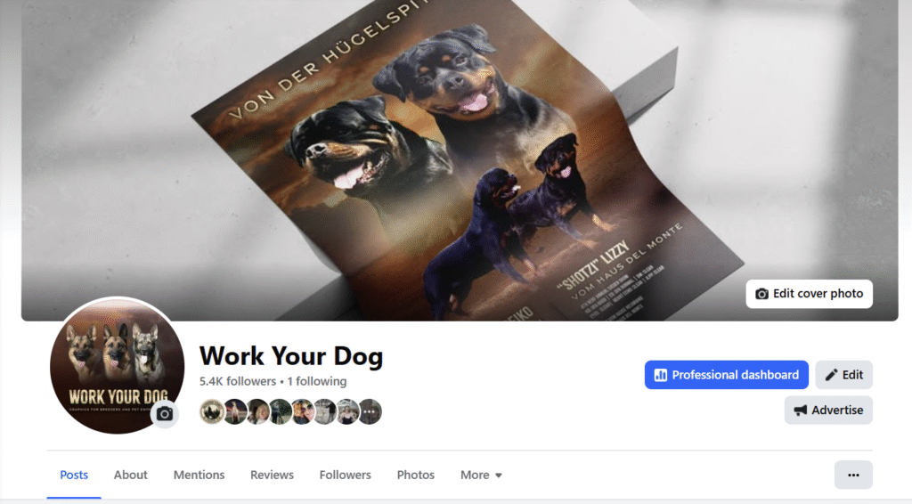 Works screenshot 2025 12 04 212641